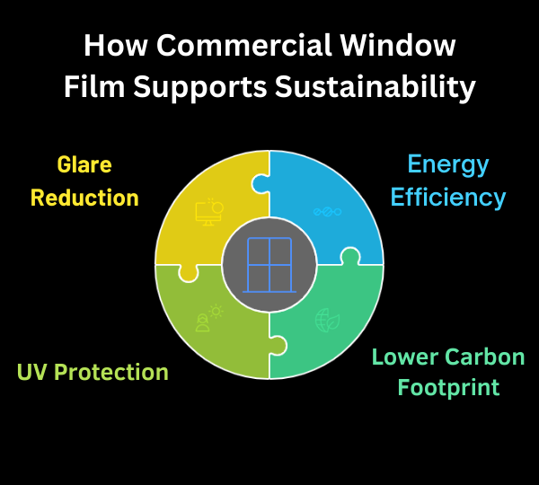 How-Commercial-Window-Film-Supports-Sustainability 