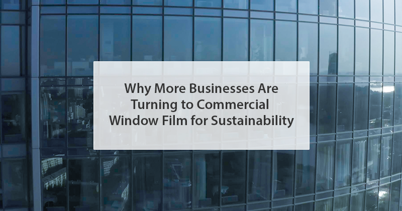 Why More Businesses Are Turning to Commercial Window Film for Sustainability