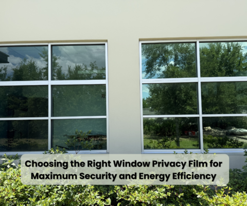 Window Building Security Window Privacy Film for Security & Energy Efficiency Guide